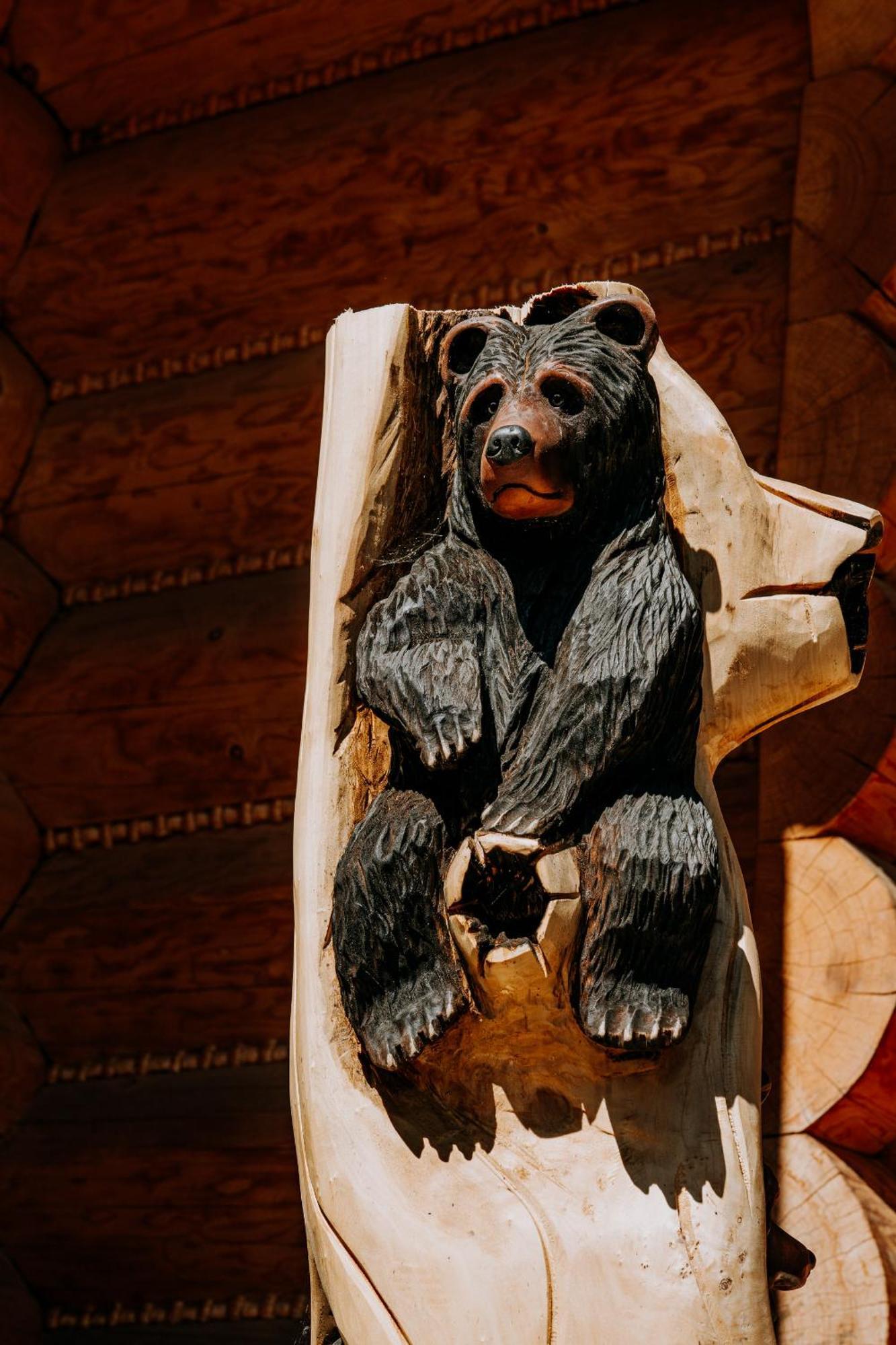 Jurta Na Wypasie - Luksusowy Namiot Z Widokiem Na Gory - Jacuzzi, Sauna, Split Ac, Private, Star View ザコパネ エクステリア 写真